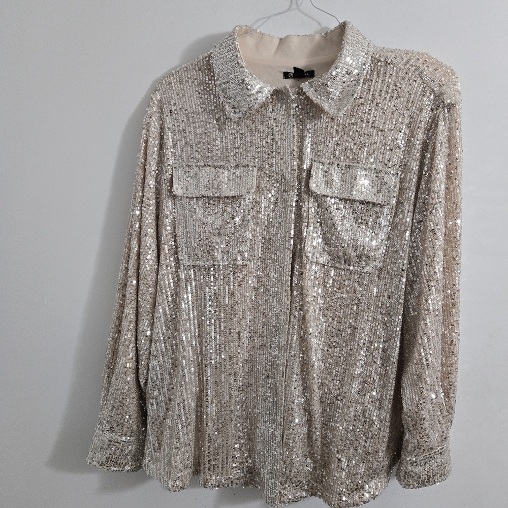 Versona Silver Sequin Top